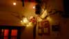 _180644_000n_small.jpg