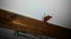 _181051n_small.jpg