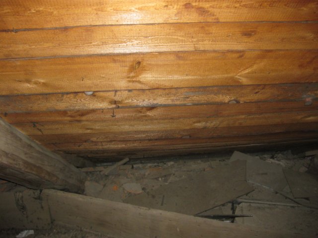 bau32.jpg