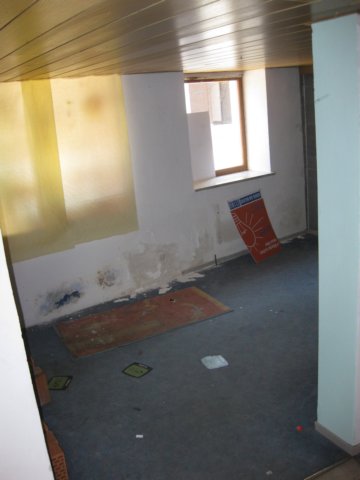 bau54.jpg