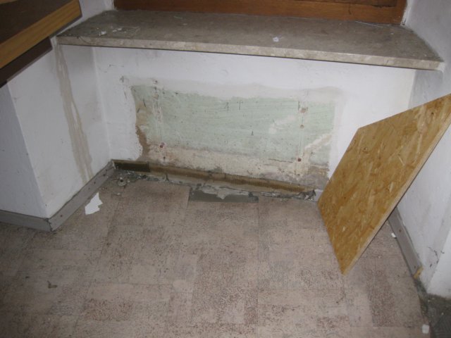 bau61.jpg