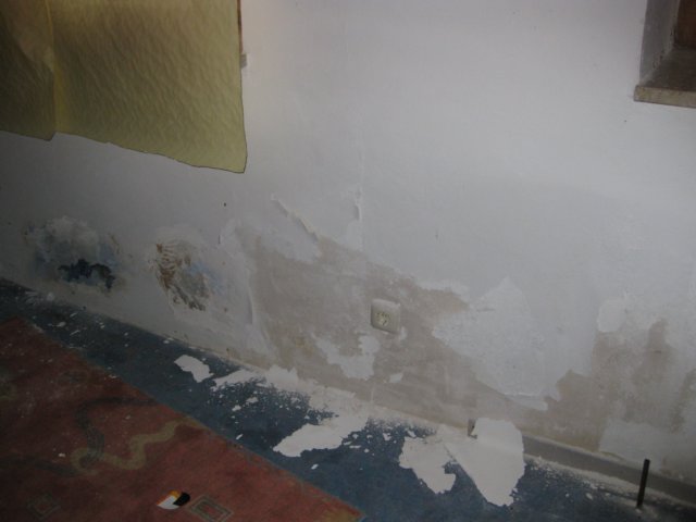 bau622.jpg